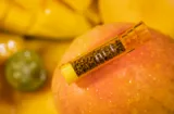 Iced Mango Flavor Filter