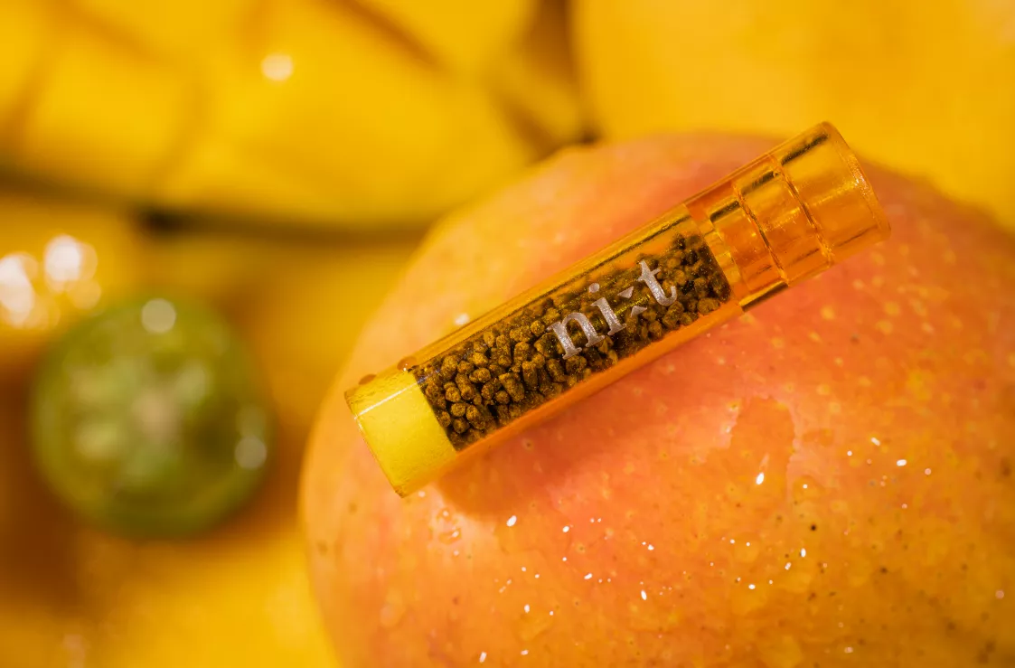 Iced Mango Flavor Filter