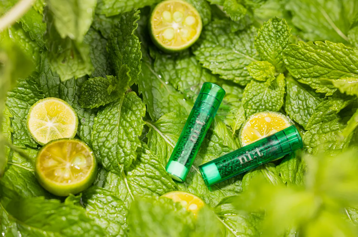 Mint Flavor Filter